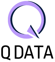 Q DATA Logo